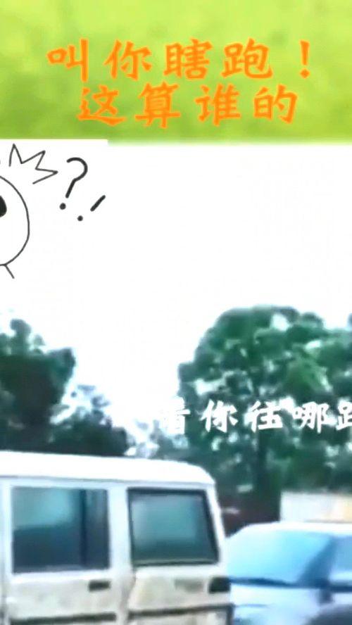 你往哪里跑,探索人生方向 第2张 你往哪里跑,探索人生方向 第2张