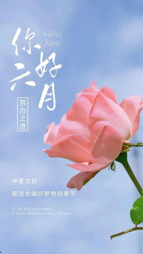 再见六月,告别六月的时光印记 第3张 再见六月,告别六月的时光印记 第3张